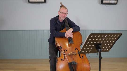 The Negative Parrot — Double Bass Lesson with David Daly