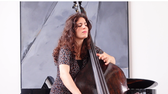 Haydn — Symphony No. 31 'Hornsignal': Tutorial with Lorraine Campet, Double Bass. Part 1 of 1